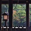 ちょっぴり秋