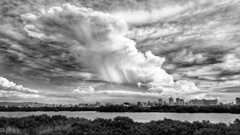 夏雲