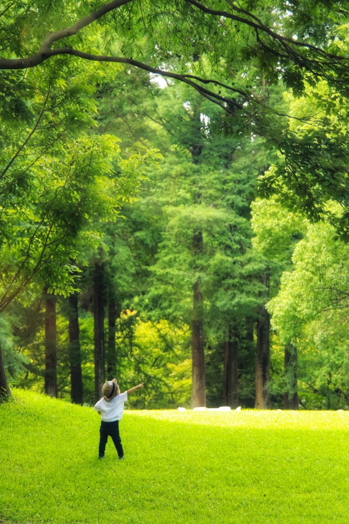 ほら　あれ見て！