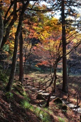 高源寺　境内の紅葉