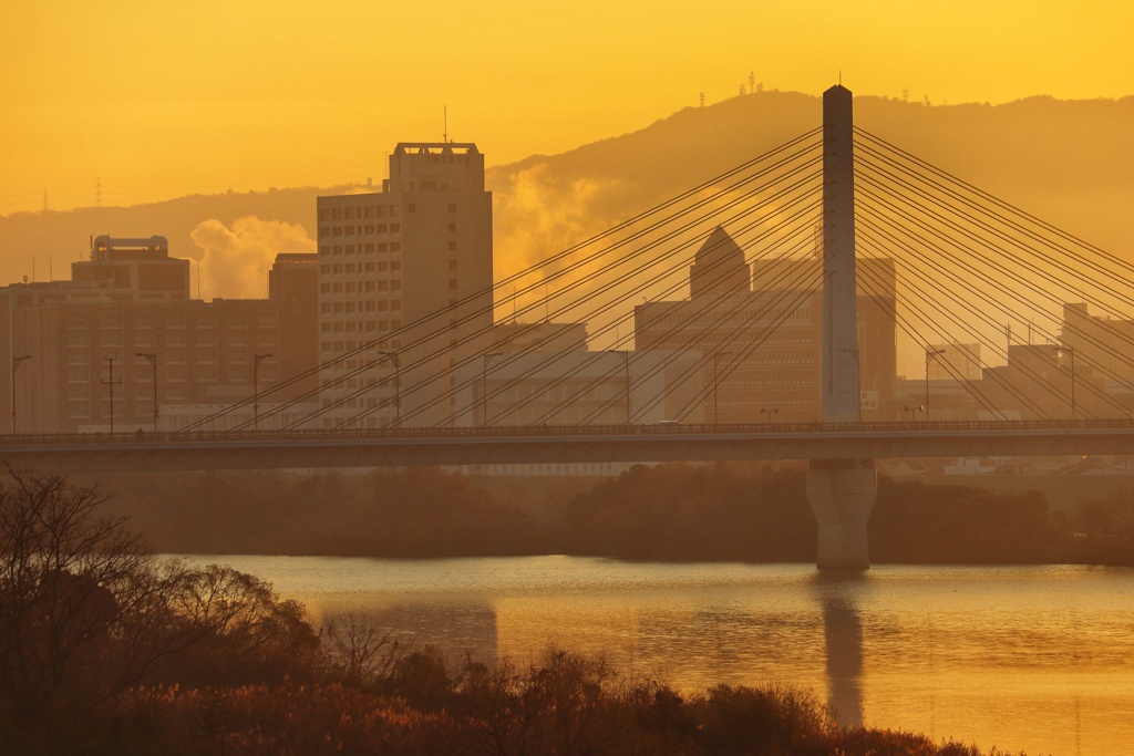 淀川朝景　城北大橋