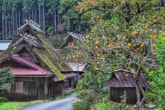 茅葺の里