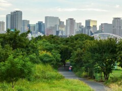 森を抜けると街だった