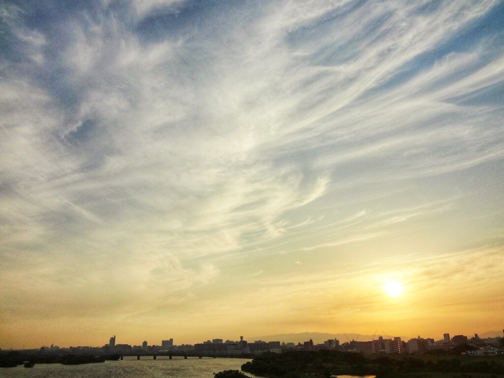 ある日の淀川上空