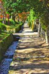 滋賀坂本の町