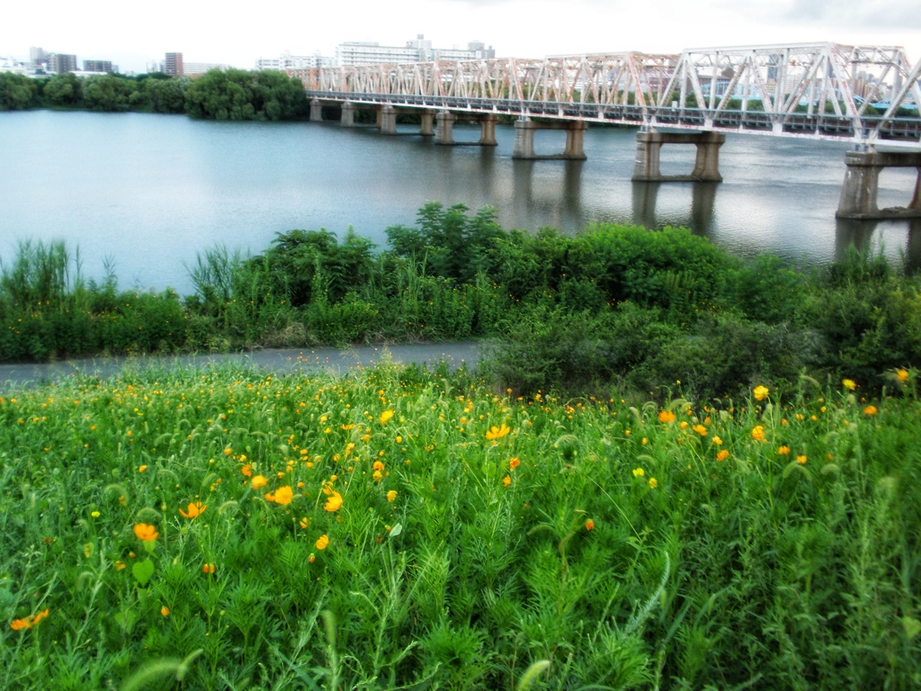 淀川寸景