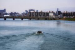 淀川を下る船