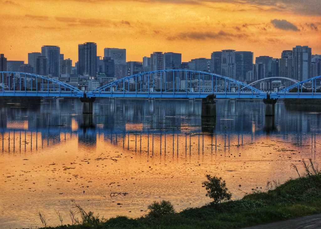 淀川夕景