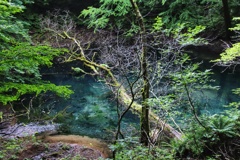 白上山地　十二湖を巡る