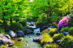 公園のせせらぎ