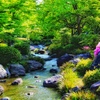 公園のせせらぎ