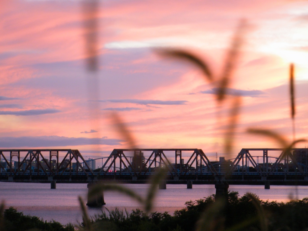 淀川夕景