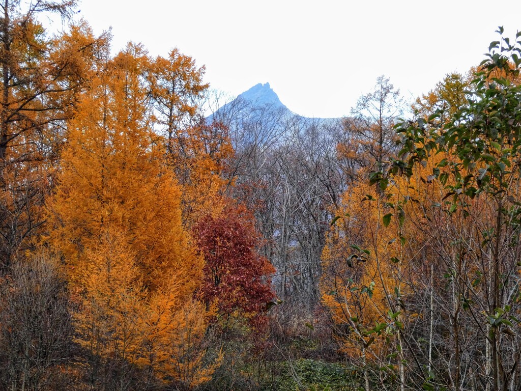 ホテルより北海道駒ヶ岳を望む