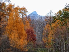 ホテルより北海道駒ヶ岳を望む