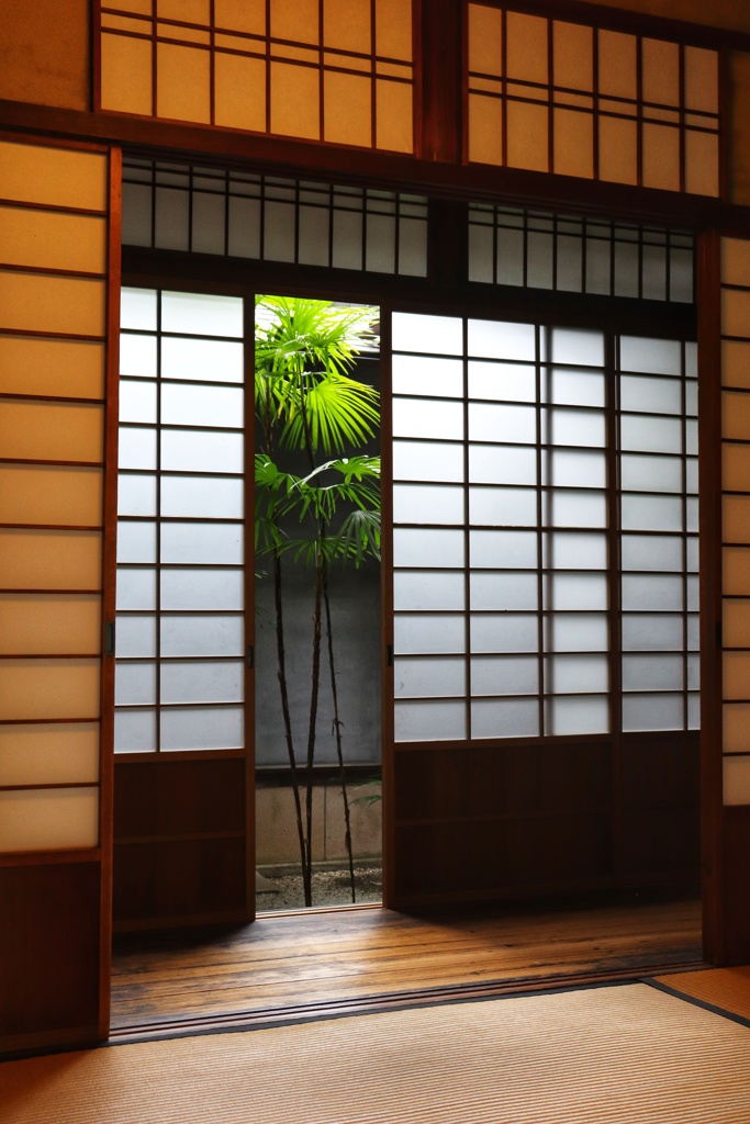中庭の緑