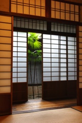 中庭の緑