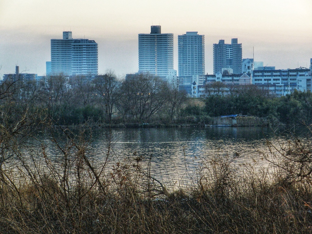 対岸のマンション