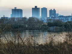 対岸のマンション