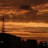 中州　夜の始まり