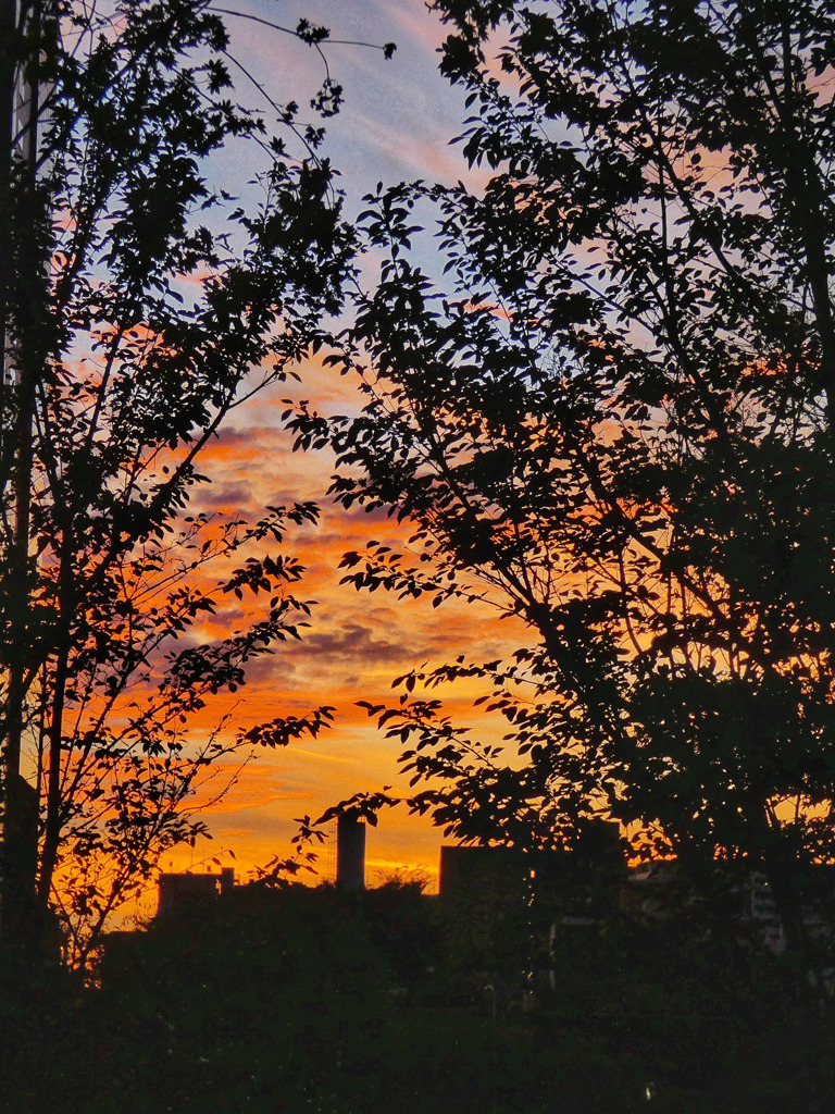 夕空