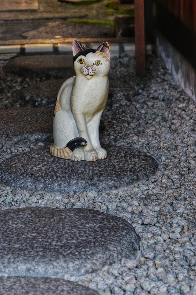 お店の看板猫