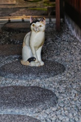 お店の看板猫