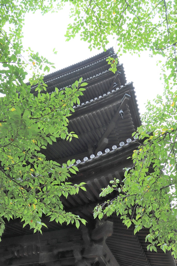 緑映える塔