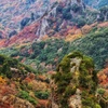 寒霞渓紅葉と奇岩