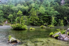 雨の明神池