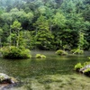 雨の明神池
