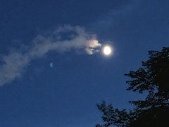 月を喰らわんとする雲竜