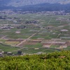 阿蘇　大観峰（３）