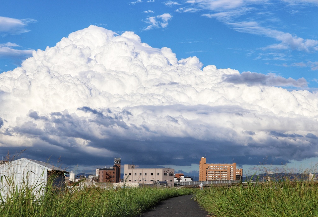 夏雲