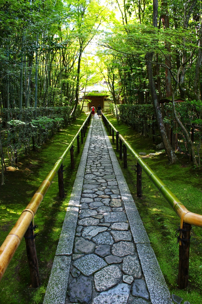 大徳寺　高桐院