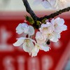 STOP そのままで！