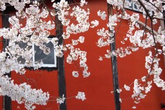 窓