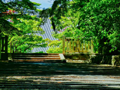 新緑の寺院