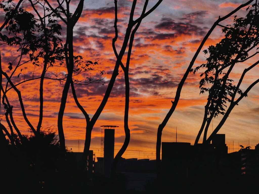 夕焼空