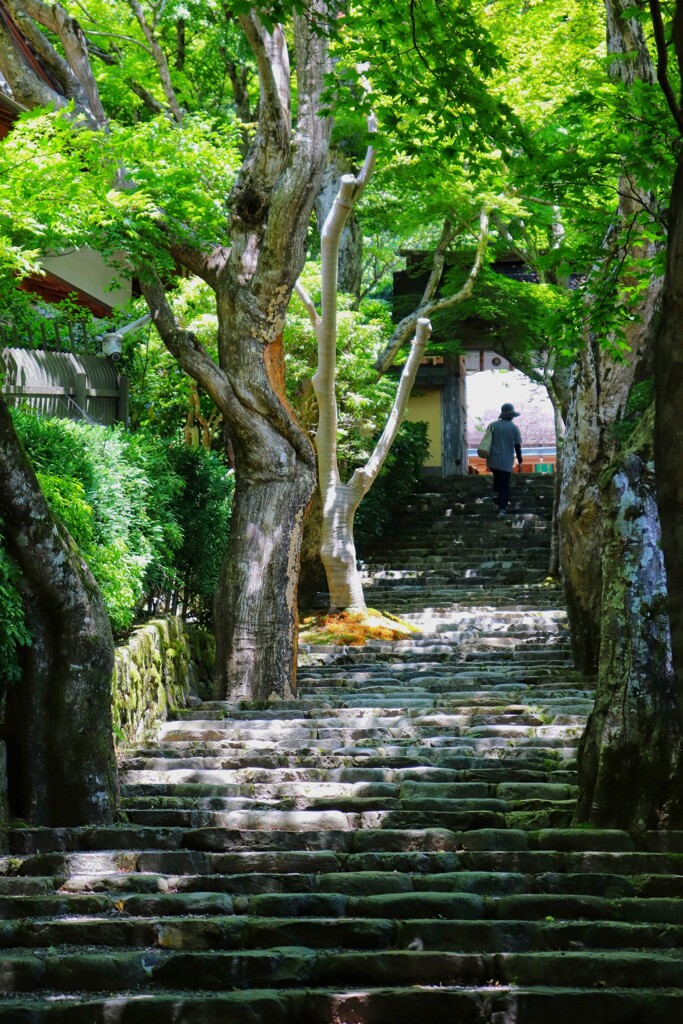 京都大原　寂光院