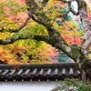 南禅寺の秋