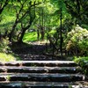 公園の木陰