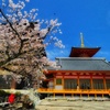 中山寺の春
