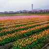 あさひ舟川