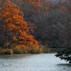 水辺の紅葉