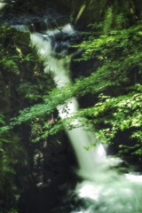 青もみじに滝