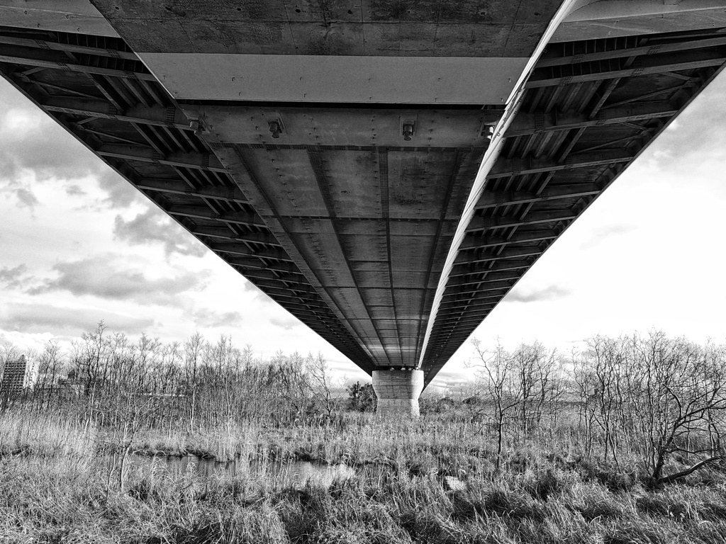 城北大橋の下から眺めてみる