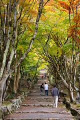 紅葉の参道(鶏足寺)