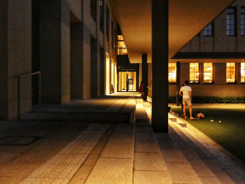 夜の立証ひろば