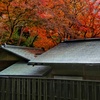 屋根越しの紅葉