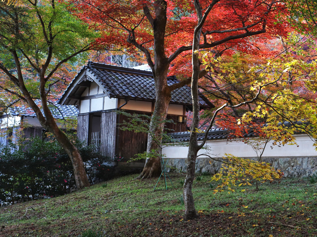 円通寺　境内（１）